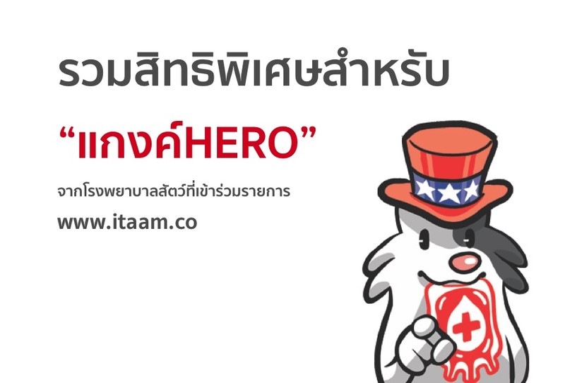 สิทธิพิเศษจากโรงพยาบาลสัตว์ต่างๆ สำหรับสมาชิกผู้บริจาคเลือดกับโรงพยาบาลสัตว์