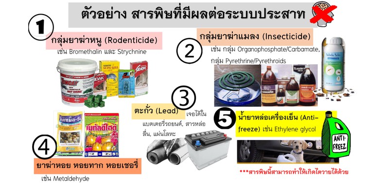 สารพิษที่มีผลจต่อระบบประสาท (Neurotoxin)