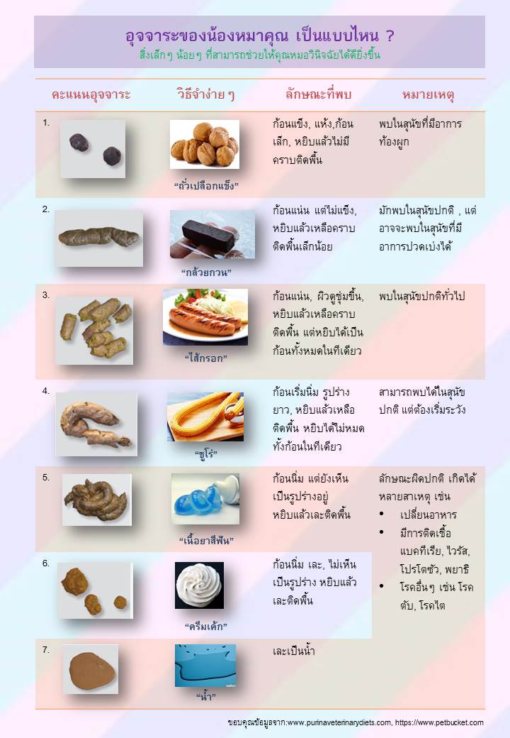 อุจจาระน้องหมาบอกโรค