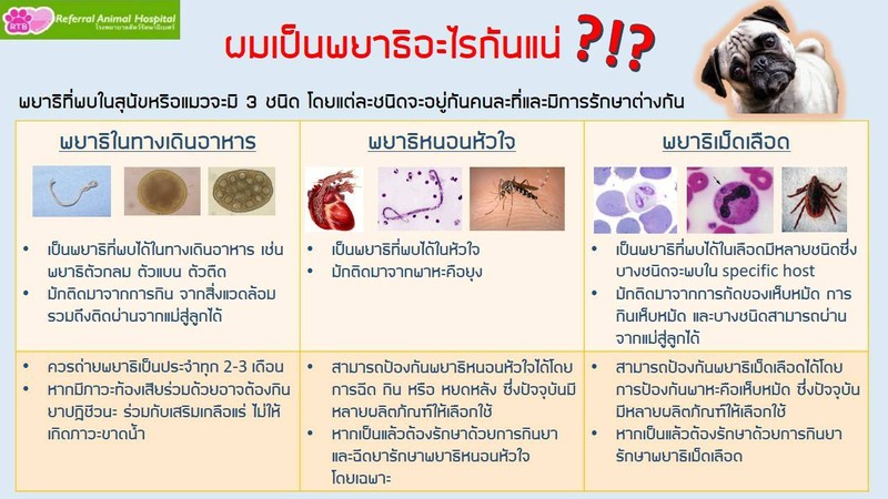 ผมเป็นพยาธิอะไรกันแน่คร้าบบบบ....
