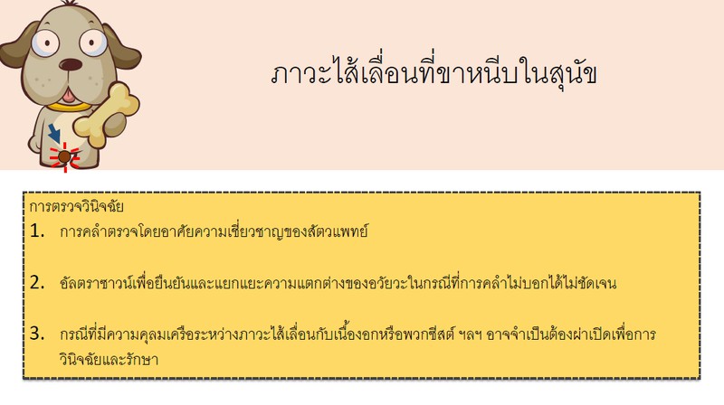 ภาวะไส้เลื่อนที่ขาหนีบในสุนัข