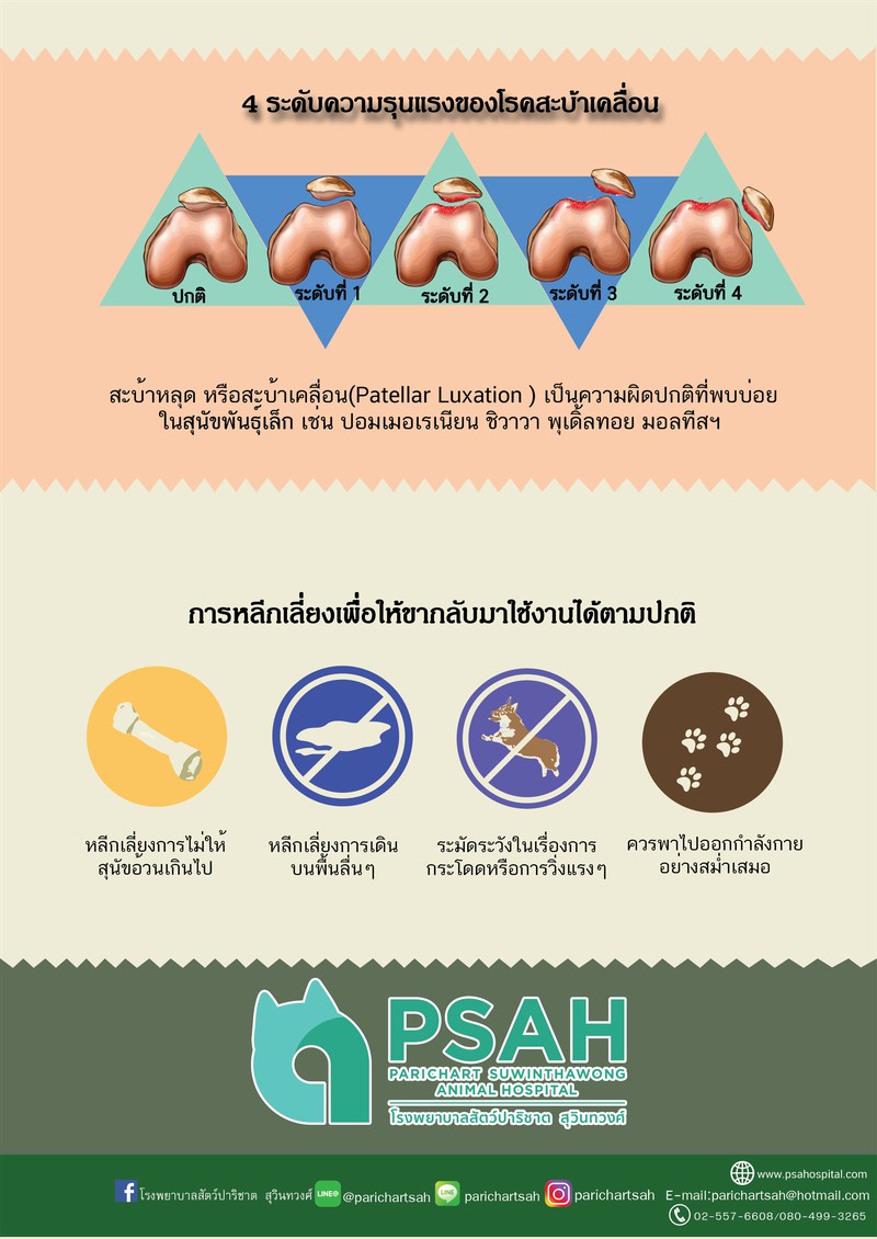 สะบ้าหลุด ฉุดยังไงดี!?