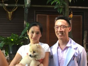 สัตวแพทย์ไทย เปลี่ยนข้อสะโพกให้น้องหมาได้สำเร็จ