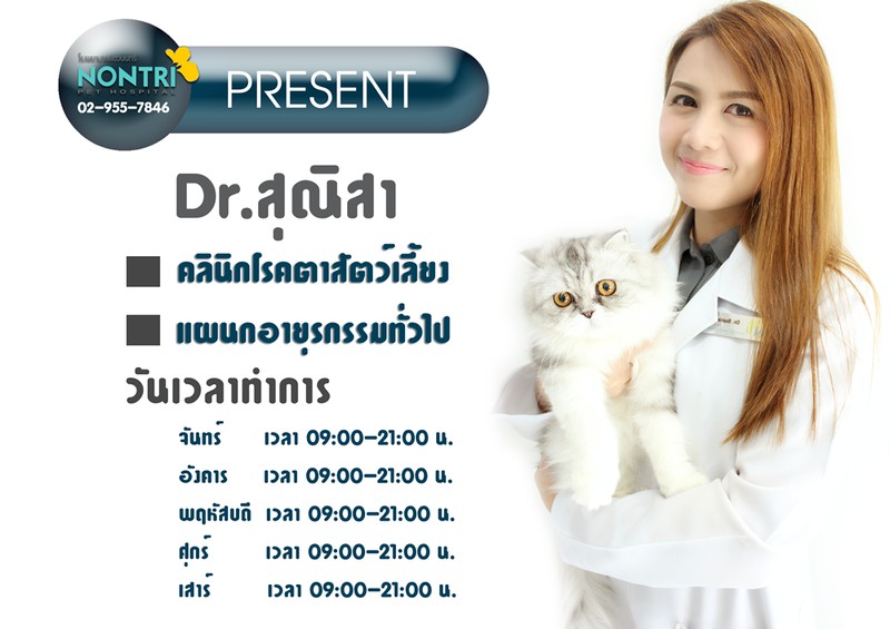 ขอแนะนำสัตวแพทย์ โรงพยาบาลสัตว์นนทรี