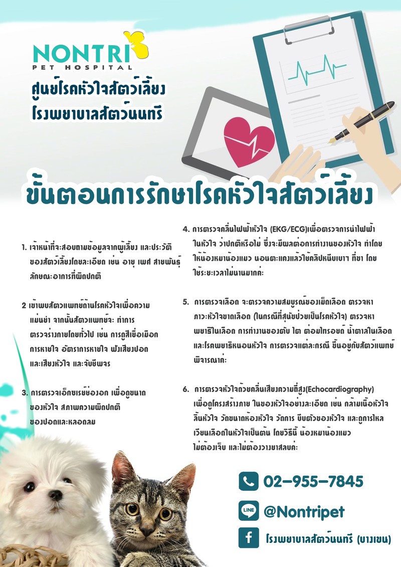 ขั้นตอนการรักษาโรคหัวใจสัตว์เลี้ยง