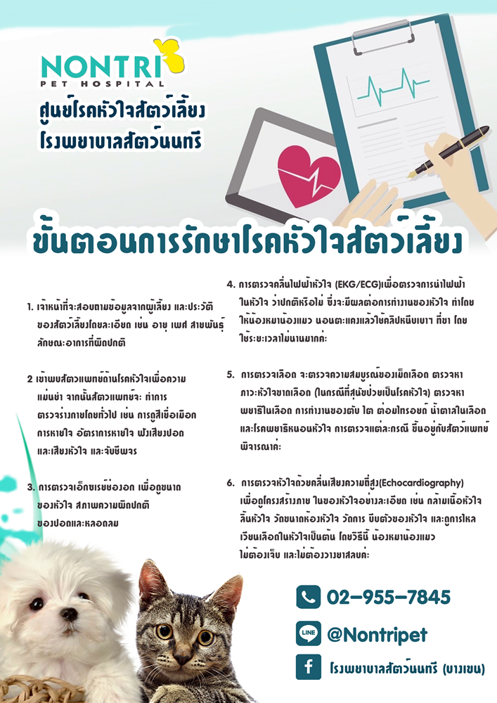 ขั้นตอนการรักษาโรคหัวใจสัตว์เลี้ยง