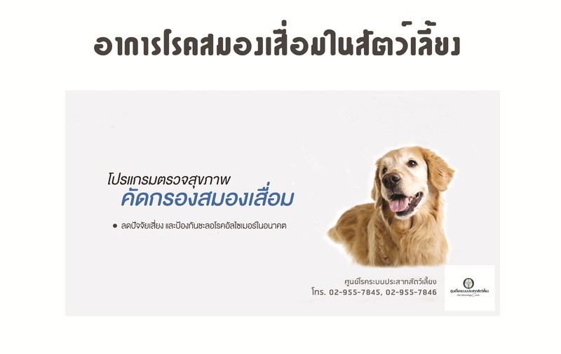 อาการของโรคสมองเสื่อมในสัตว์เลี้ยง