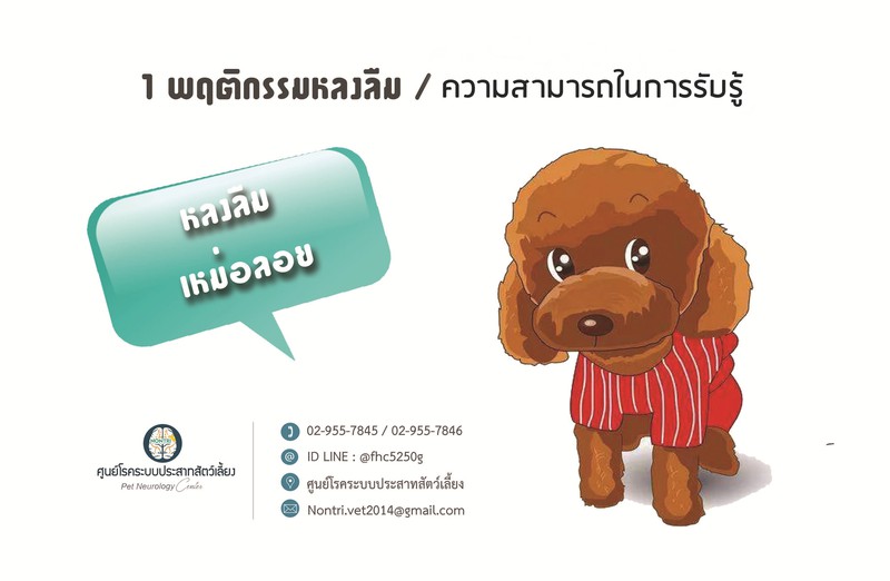 อาการของโรคสมองเสื่อมในสัตว์เลี้ยง