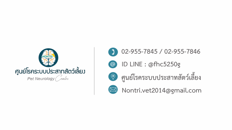 อาการของโรคสมองเสื่อมในสัตว์เลี้ยง