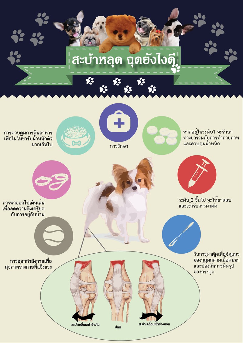 สะบ้าหลุด ฉุดยังไงดี!?