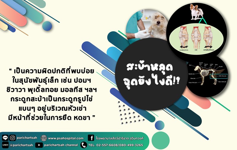 สะบ้าหลุด ฉุดยังไงดี!?