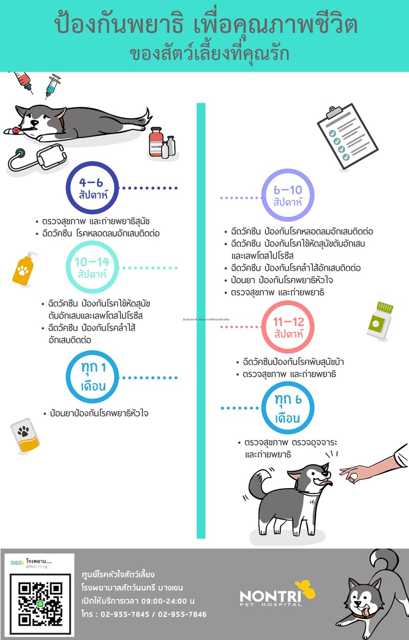 กำจัดพยาธิภายนอกและภายในสัตว์เลี้ยง