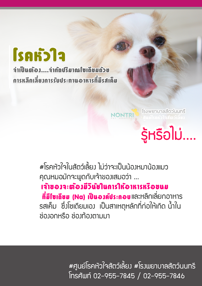 โรคหัวใจในสัตว์เลี้ยง ไม่ว่าจะเป็น น้องหมาน้องแมวคุณหมอมักจะพูดกับ เจ้าของเสมอว่า ...