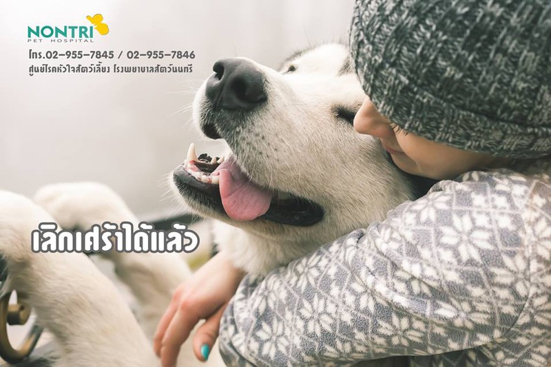 โรคซึมเศร้า