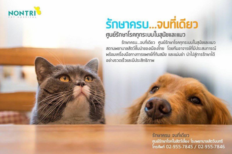 รักษาครบ...จบที่เดียว ศูนย์รักษาโรคทุกระบบในสุนัขและแมว