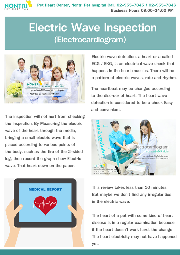 Electric Wave Inspection (Electrocardiogram)