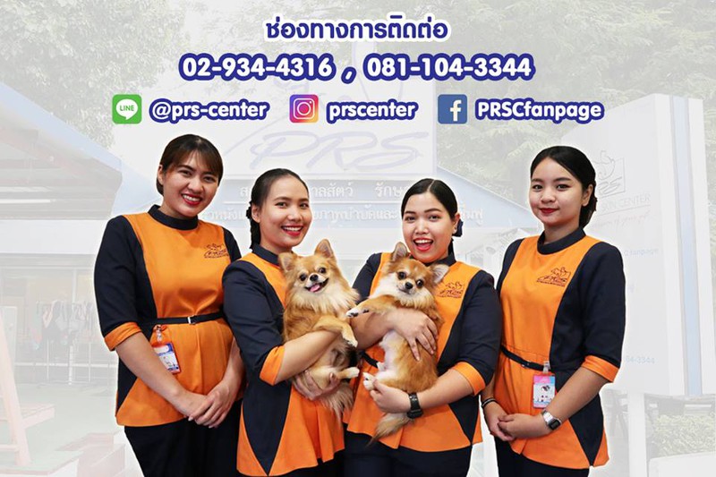 ศูนย์กายภาพและโรคผิวหนังสัตว์เลี้ยง ทางเลือกใหม่ ในการักษา