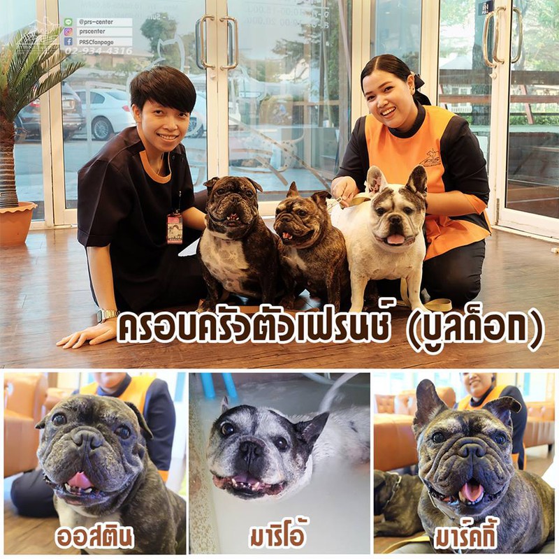 !!! ขอต้อนรับสมาชิกใหม่ เข้าสู่ครอบครัว PRS center !!!