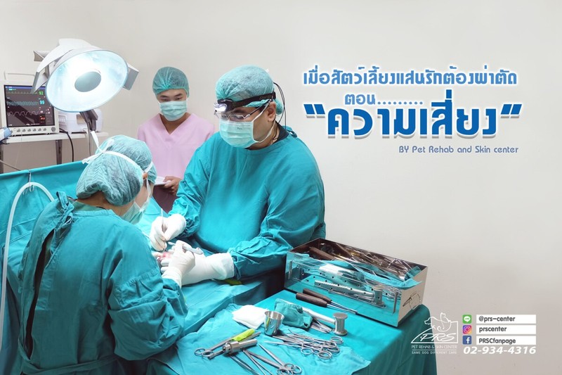 คลินิกโรคกระดูกและข้อในสุนัขและแมว