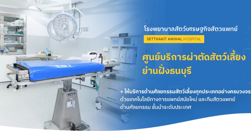 ศูนย์ศัลกรรมผ่าตัดสัตว์เลี้ยง - โรงพยาบาลสัตว์เศรษฐกิจสัตวแพทย์