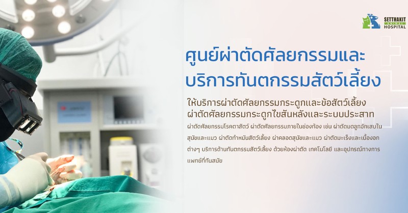 ศูนย์ผ่าตัดมะเร็งและเนื้องอกสัตว์เลี้ยง - โรงพยาบาลสัตว์เศรษฐกิจสัตวแพทย์