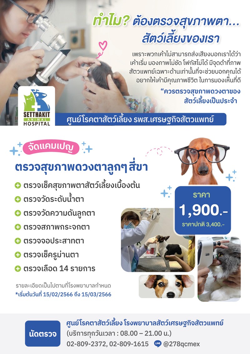 ตรวจเช็คสุขภาพตาสัตว์เลี้ยงเบื้องต้น - ศูนย์โรคตาสัตว์เลี้ยง รพส.เศรษฐกิจสัตวแพทย์