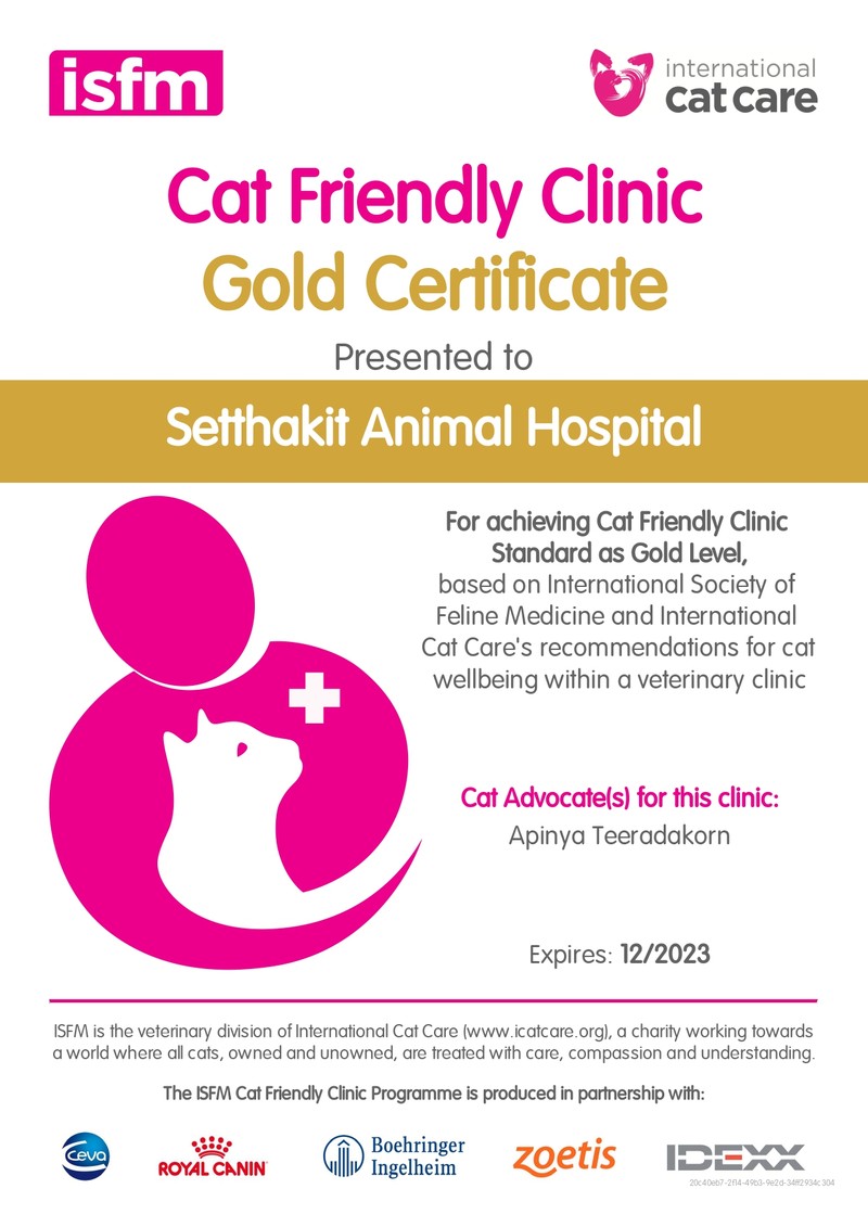 ศูนย์โรคในแมว CAT FRIENDLY CLINIC