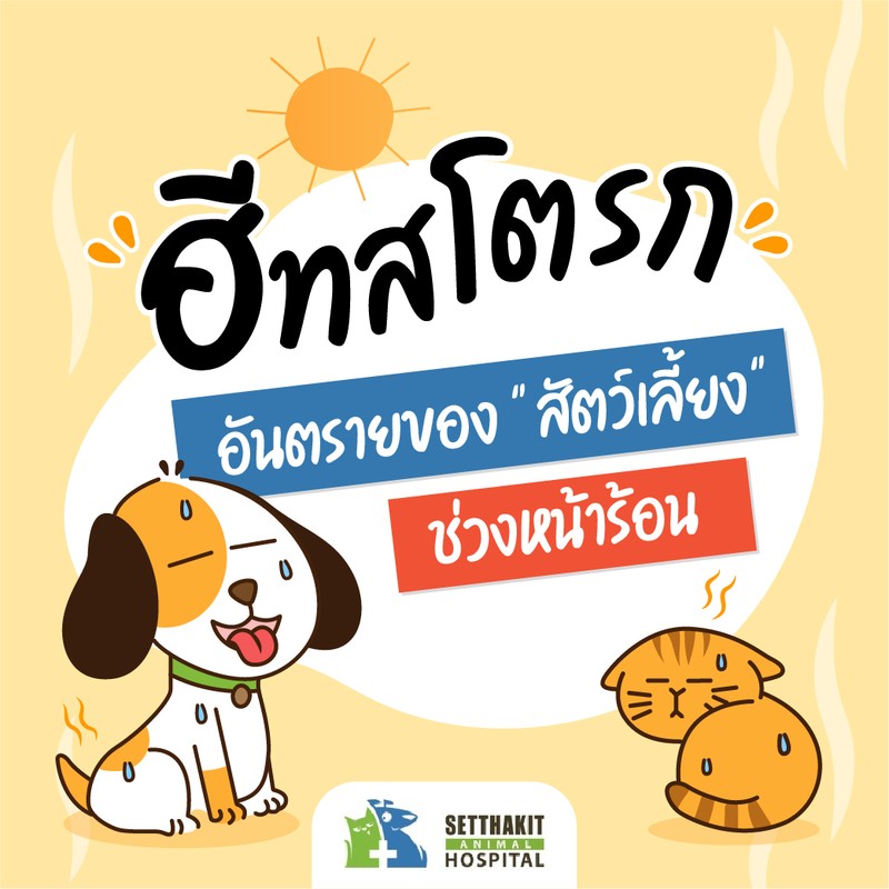 ฮีทสโตรก!!…อันตรายของ "สัตว์เลี้ยง" หน้าร้อน -