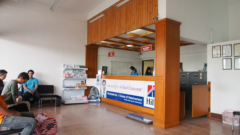 โรงพยาบาลสัตว์บ้านหมากะแมว (2/4)
