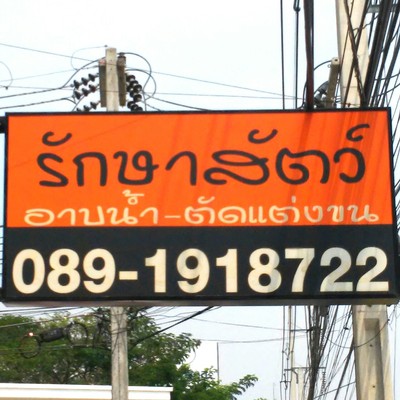 หมอเรน เพ็ท แคร์ คลินิก รักษาสัตว์