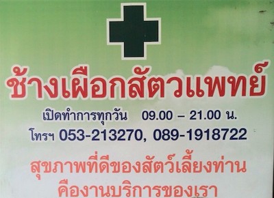 ช้างเผือกสัตวแพทย์
