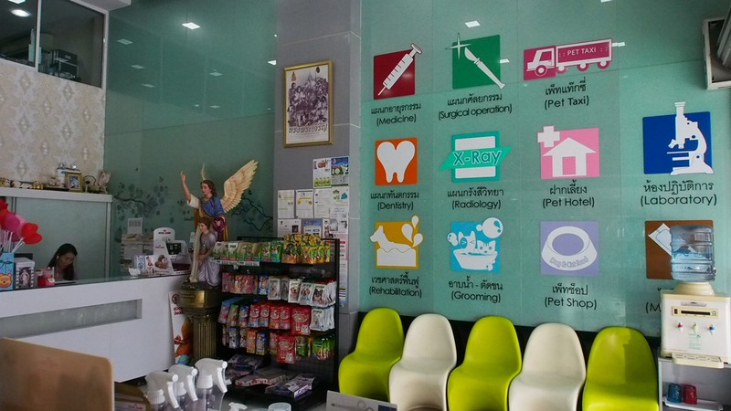 โรงพยาบาลสัตว์เซนต์ราฟาแอล (2/3)