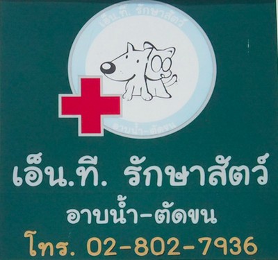 คลินิก เอ็นที รักษาสัตว์