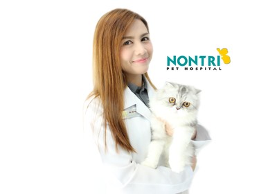 Dr. นิ