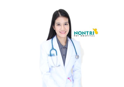 Dr. ปลาย