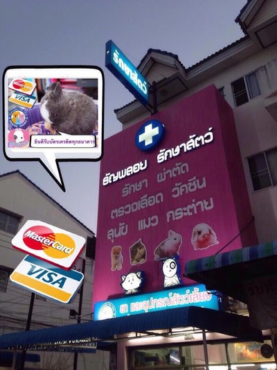 ธัญพลอย รักษาสัตว์