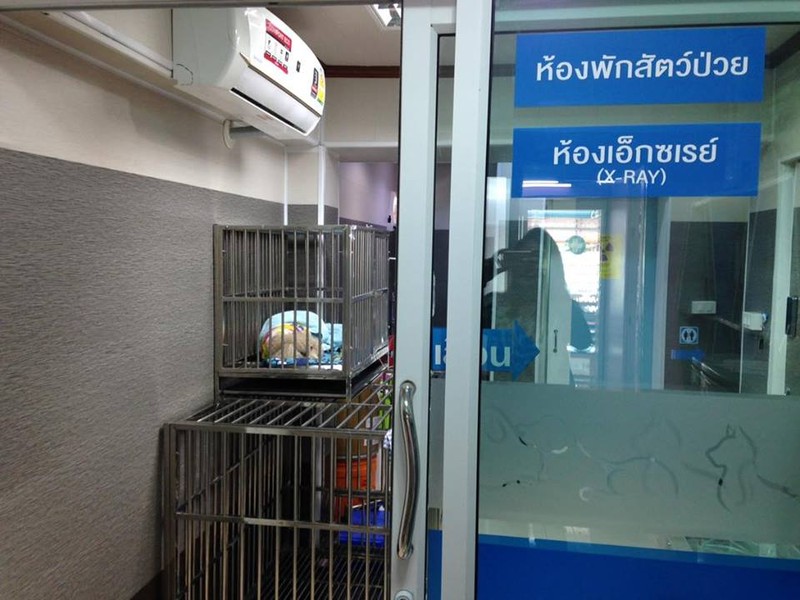ธัญพลอย รักษาสัตว์ (27/50)