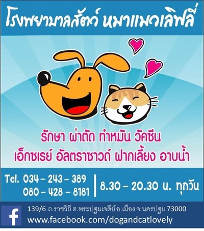โรงพยาบาลสัตว์หมาแมวเลิฟลี่