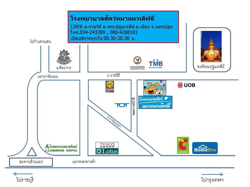 โรงพยาบาลสัตว์หมาแมวเลิฟลี่ (2/5)