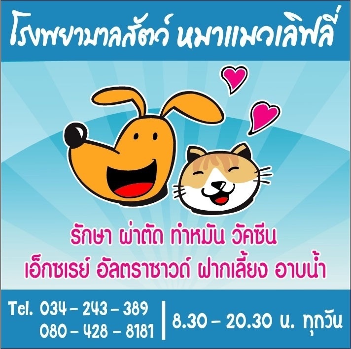 โรงพยาบาลสัตว์หมาแมวเลิฟลี่ (3/5)