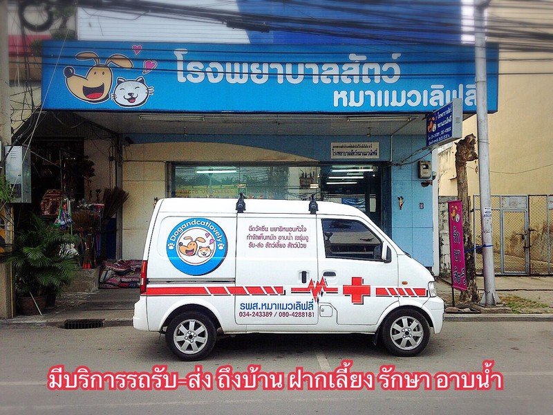 โรงพยาบาลสัตว์หมาแมวเลิฟลี่ (4/5)