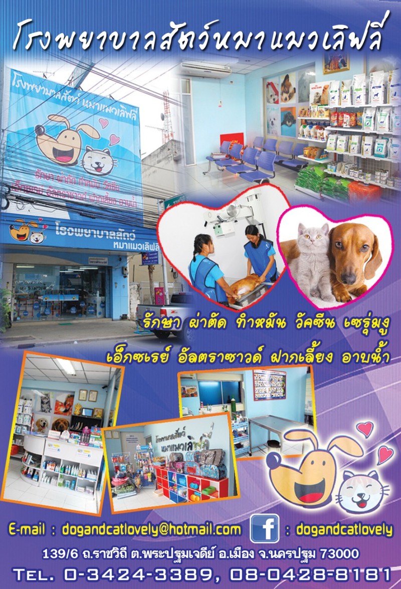 โรงพยาบาลสัตว์หมาแมวเลิฟลี่ (5/5)