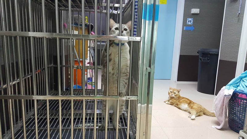 ธัญพลอย รักษาสัตว์ (40/50)