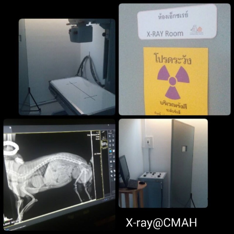X-ray