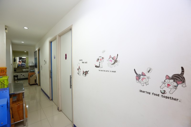 i Pet Hospital (4/7)