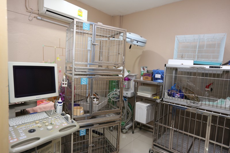 i Pet Hospital (6/7)