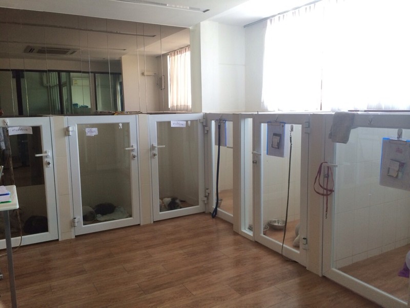 Dog Hotel