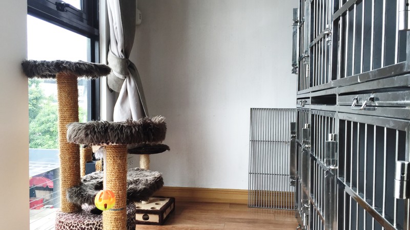 Cat Hotel