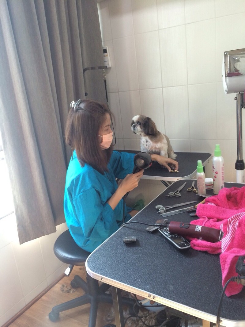 Grooming