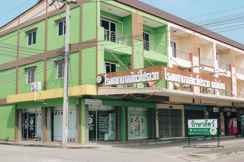 โรงพยาบาลสัตว์โปรเวท พนัสนิคม (4/9)